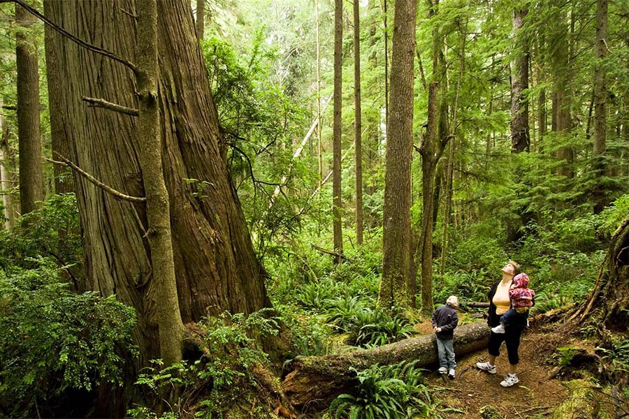 Olympic National Park, Washington