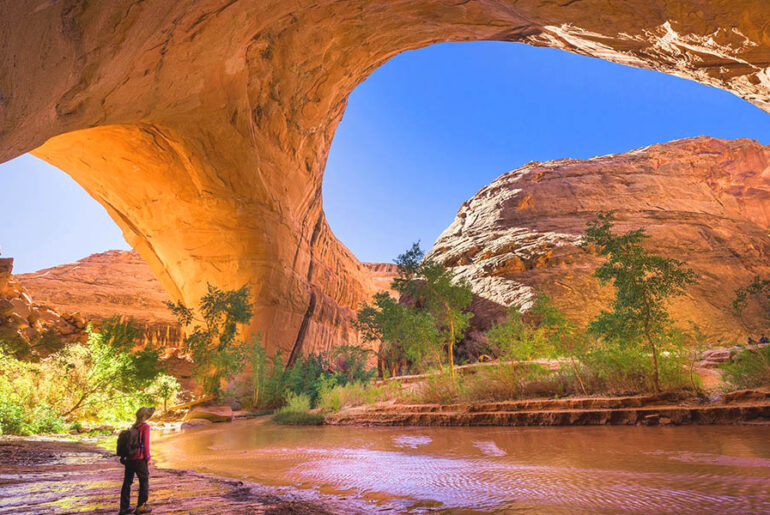 best national parks to visit in the US