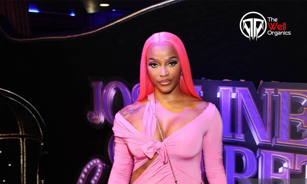 Joseline Hernandez net worth